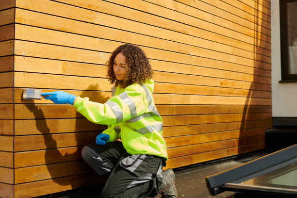 Best Brick Veneer Siding  in Vandercook Lake, MI